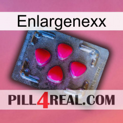 Enlargenexx 13